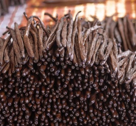 Gourmet Vanilla Beans